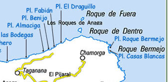 Roque bermejo, draguillo, taganana